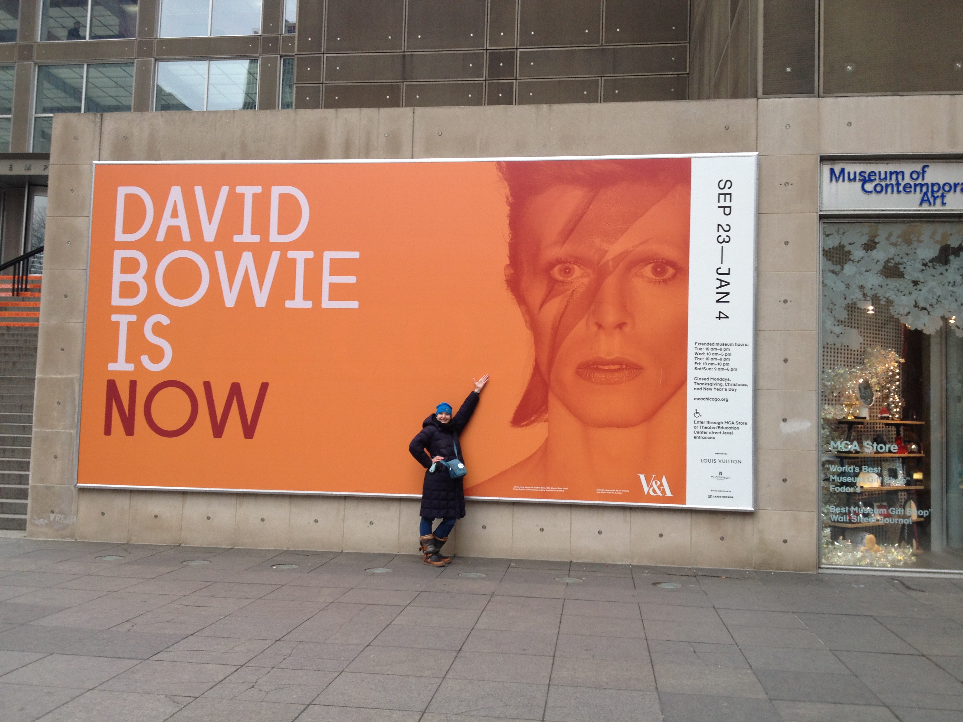 Bowie Is