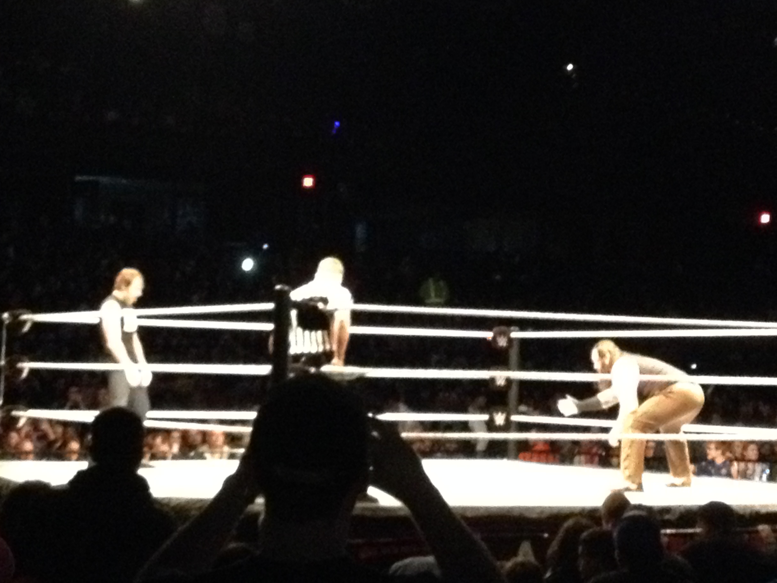 WWE Holiday Show Chicago
